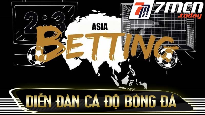 Diễn đàn cá độ bóng đá